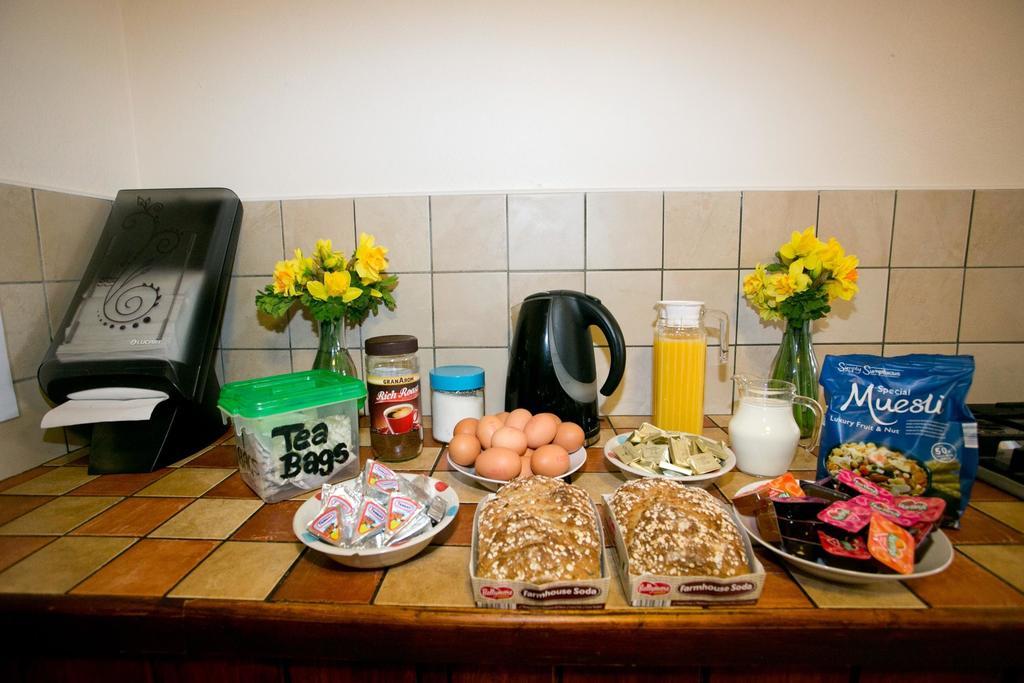 Aille River Tourist Hostel And Camping 둘린 외부 사진