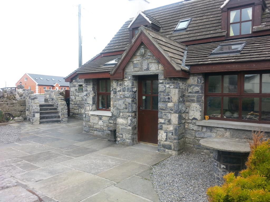 Aille River Tourist Hostel And Camping 둘린 외부 사진