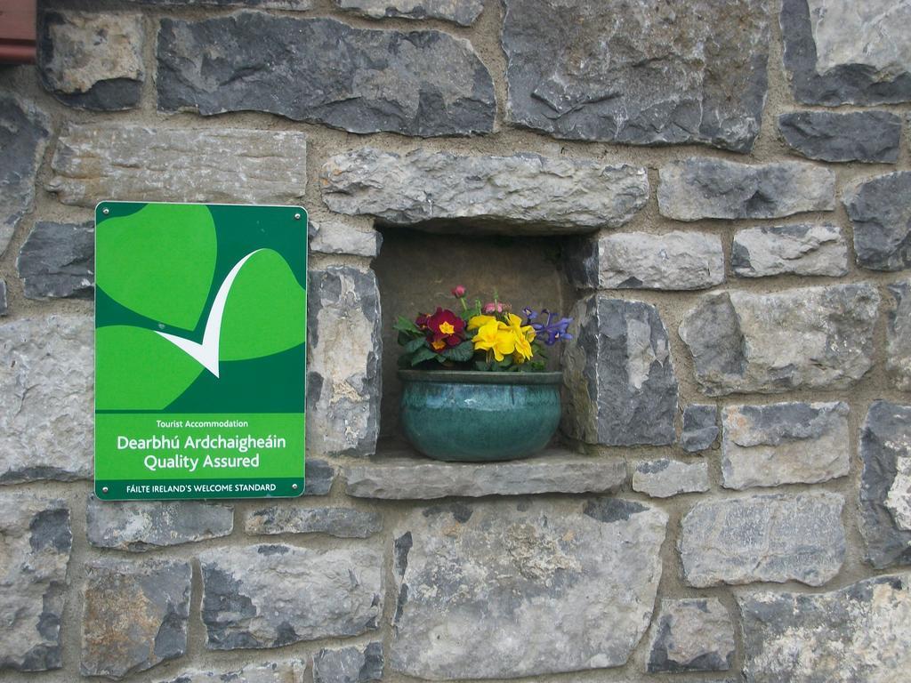 Aille River Tourist Hostel And Camping 둘린 외부 사진